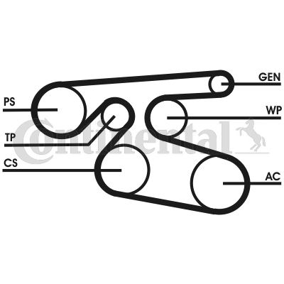 Picture of CONTINENTAL CTAM - 7PK2000 - V-Ribbed Belts (Belt Drive)
