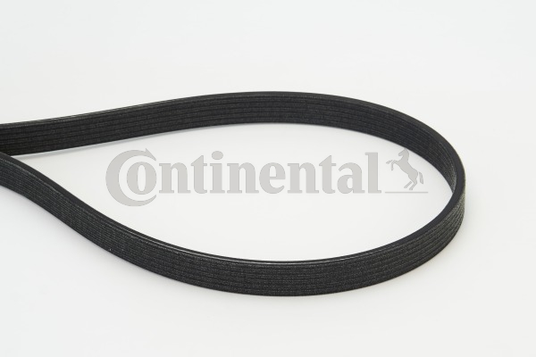 Picture of CONTINENTAL CTAM - 6DPK1817 - V-Ribbed Belts (Belt Drive)