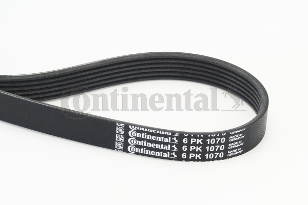 Picture of CONTINENTAL CTAM - 6PK1070 - V-Ribbed Belts (Belt Drive)