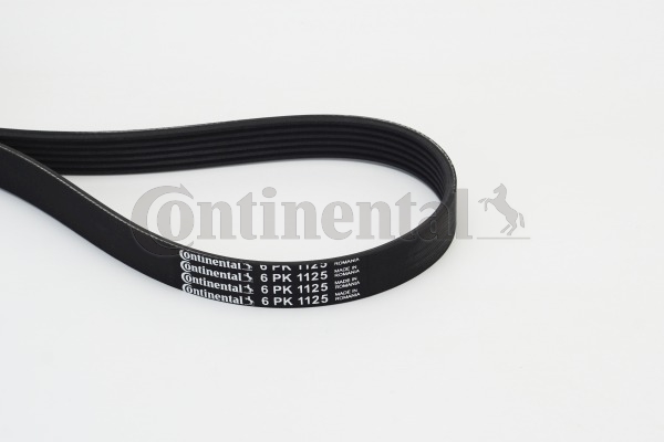 KLINASTI REBRASTI KAIŠ - CONTINENTAL CTAM - 6PK1125