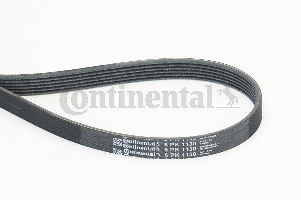Picture of CONTINENTAL CTAM - 6PK1130 - V-Ribbed Belts (Belt Drive)