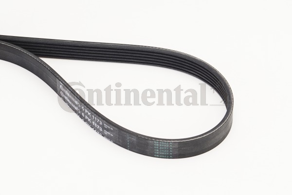 Picture of CONTINENTAL CTAM - 6PK1173 - V-Ribbed Belts (Belt Drive)
