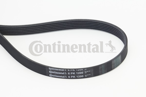 Picture of CONTINENTAL CTAM - 6PK1200 - V-Ribbed Belts (Belt Drive)