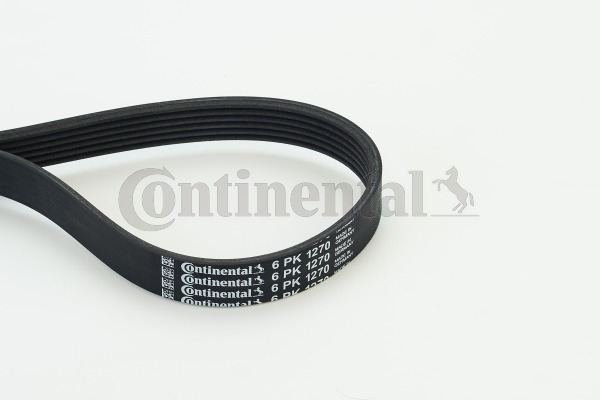 Picture of CONTINENTAL CTAM - 6PK1270 - V-Ribbed Belts (Belt Drive)