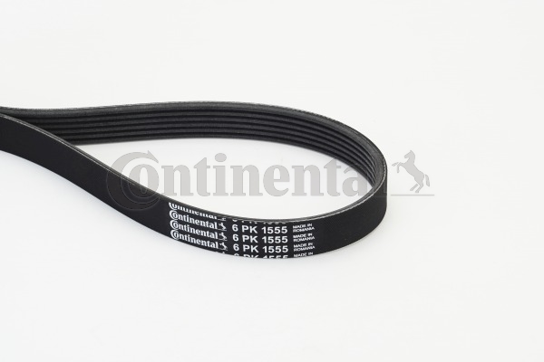 Picture of CONTINENTAL CTAM - 6PK1555 - V-Ribbed Belts (Belt Drive)