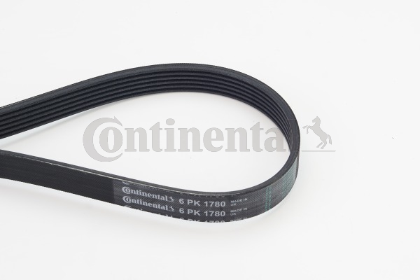 Picture of CONTINENTAL CTAM - 6PK1780 - V-Ribbed Belts (Belt Drive)
