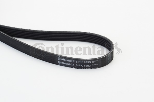 Picture of CONTINENTAL CTAM - 6PK1893 - V-Ribbed Belts (Belt Drive)
