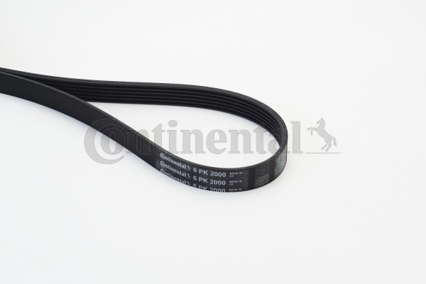 Picture of CONTINENTAL CTAM - 6PK2000 - V-Ribbed Belts (Belt Drive)