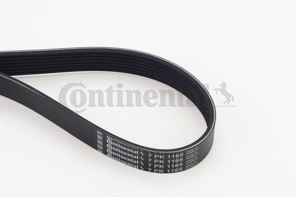 Picture of CONTINENTAL CTAM - 7PK1165 - V-Ribbed Belts (Belt Drive)