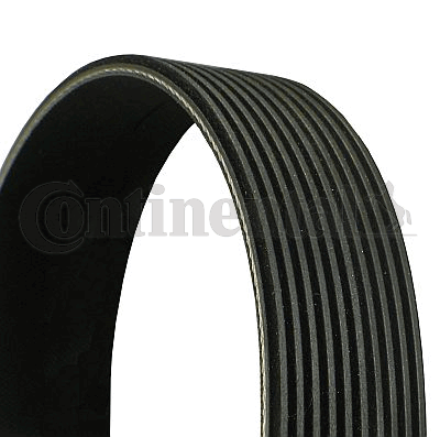 Picture of CONTINENTAL CTAM - 10PK1136 - V-Ribbed Belts (Belt Drive)