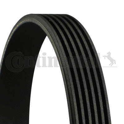 Picture of CONTINENTAL CTAM - 6PK751 - V-Ribbed Belts (Belt Drive)