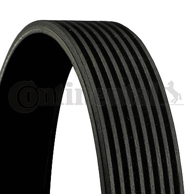 Picture of CONTINENTAL CTAM - 8PK1175 - V-Ribbed Belts (Belt Drive)