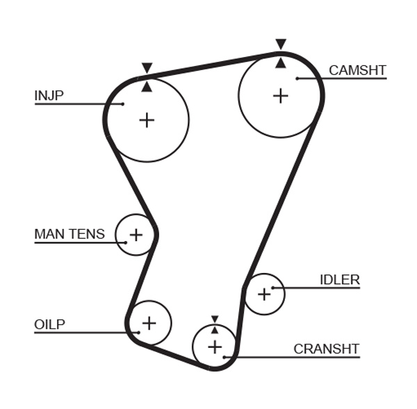 Picture of GATES - 5065 - Timing Belt (Belt Drive)