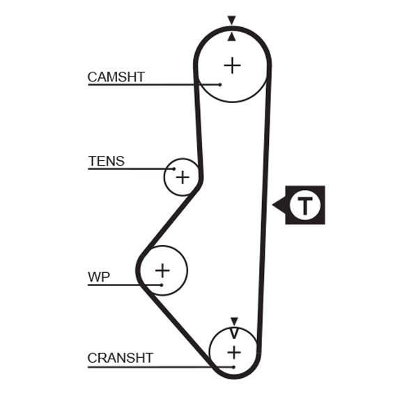 Picture of Timing Belt - GATES - 5128