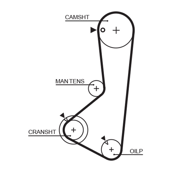 Image de Courroie crantée - GATES - 5256XS