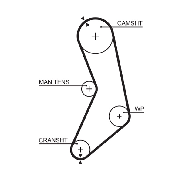 Picture of GATES - 5288 - Timing Belt (Belt Drive)
