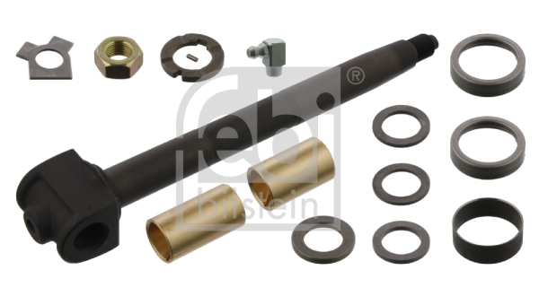 Picture of FEBI BILSTEIN - 01124 - Repair Kit, kingpin (Wheel Suspension)