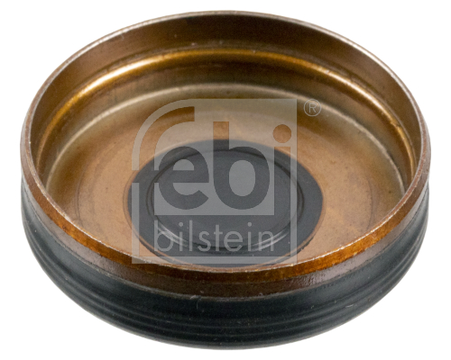 Picture of FEBI BILSTEIN - 38327 - Locking Cover, camshaft (Engine Timing)