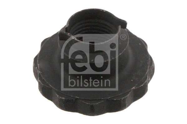 FEBI BILSTEIN - 46689 - Navrtka, kraj osovine (Vešanje točkova)