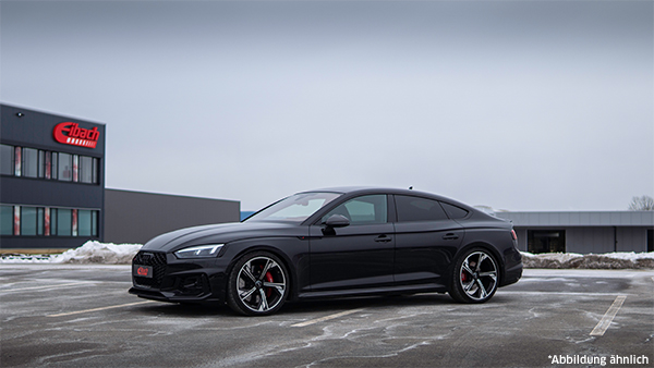 KOMPLET OPRUGA ŠASIJE - EIBACH - E10-15-026-02-22