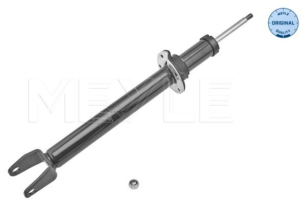 Picture of Shock Absorber - MEYLE - 026 625 0017