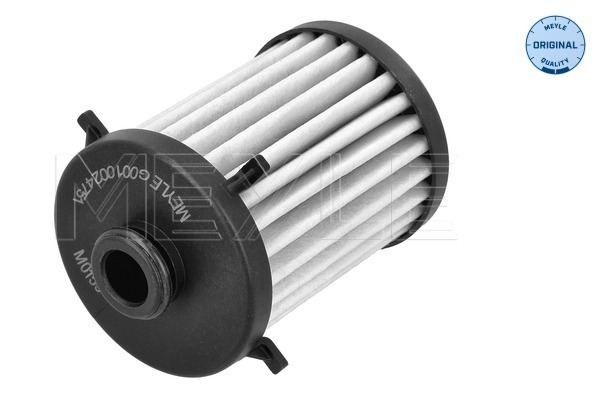 Picture of Hydraulic Filter -  automatic transmission - MEYLE - 100 136 1007