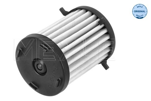 Picture of Hydraulic Filter -  automatic transmission - MEYLE - 100 136 1007