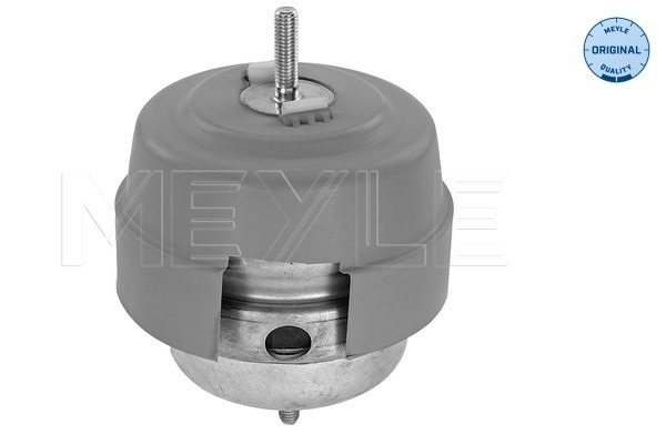 Picture of Mounting -  engine - MEYLE - 100 199 0189