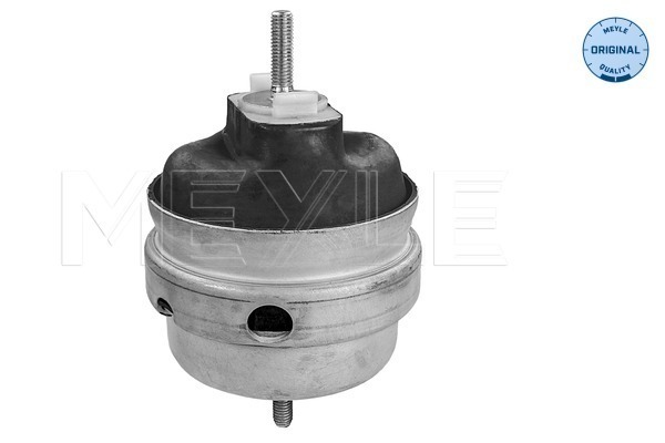 Picture of Mounting -  engine - MEYLE - 100 199 0189