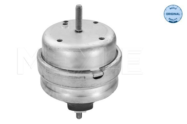 Picture of Mounting -  engine - MEYLE - 100 199 0189