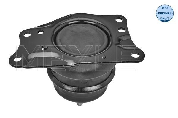 Picture of Mounting -  engine - MEYLE - 100 199 0228