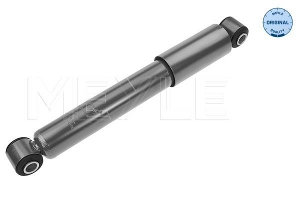 Picture of Shock Absorber - MEYLE - 11-26 725 0012