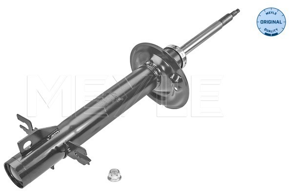Picture of Shock Absorber - MEYLE - 226 623 0018