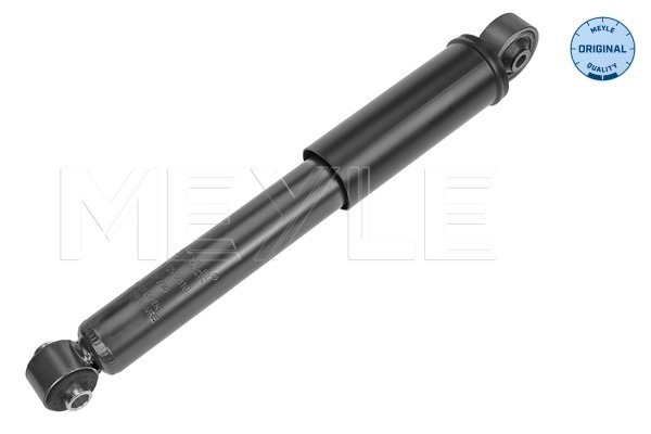 Picture of Shock Absorber - MEYLE - 226 725 0010