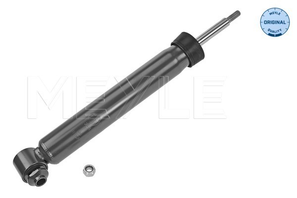 Picture of Shock Absorber - MEYLE - 326 725 0029