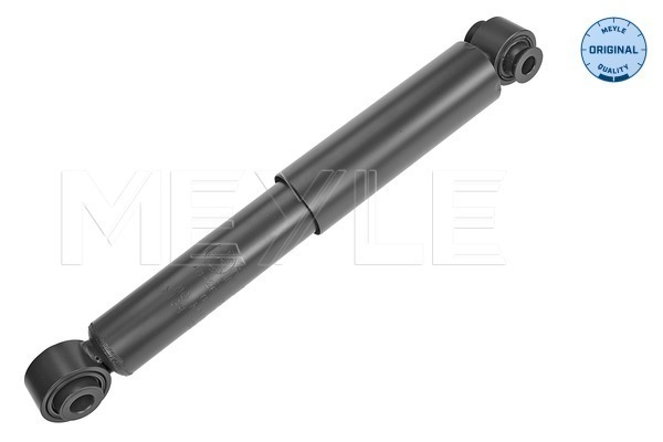 Picture of Shock Absorber - MEYLE - 40-26 725 0009