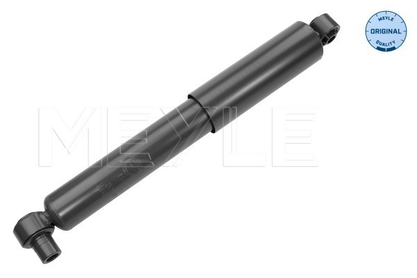 Picture of Shock Absorber - MEYLE - 626 625 0001