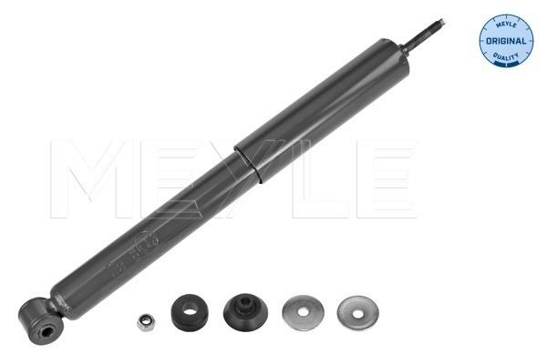 Picture of Shock Absorber - MEYLE - 626 725 0016
