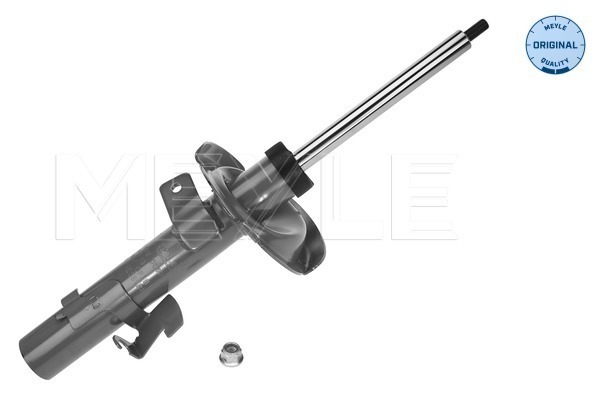 Picture of Shock Absorber - MEYLE - 726 623 0013