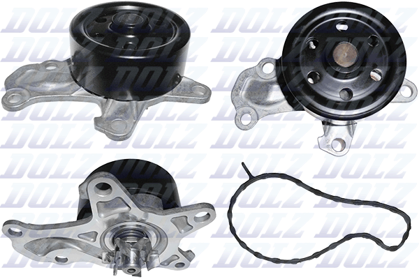 Picture of Water Pump - DOLZ - C153