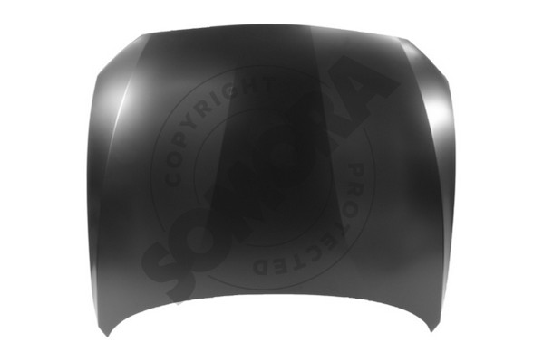 Picture of SOMORA - 045208 - Bonnet (Body)