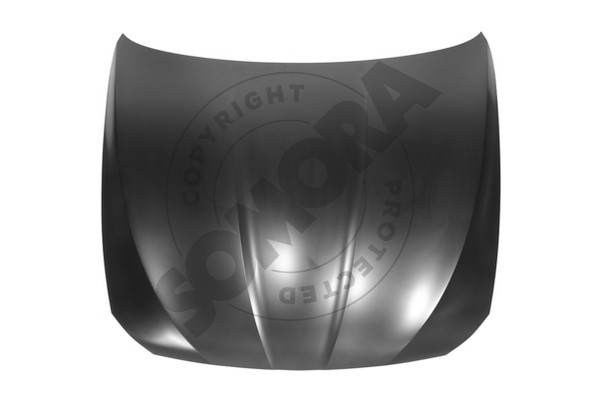 Picture of SOMORA - 041408 - Bonnet (Body)