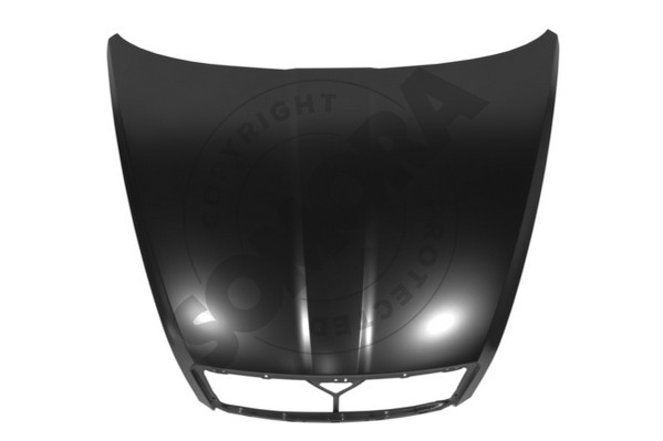 Picture of SOMORA - 291208 - Bonnet (Body)