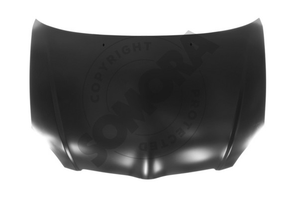 Picture of SOMORA - 318108 - Bonnet (Body)