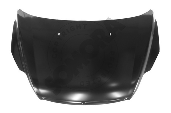 Picture of SOMORA - 093708 - Bonnet (Body)