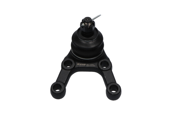 Picture of KAVO PARTS - SBJ-5505 - Ball Joint (Wheel Suspension)