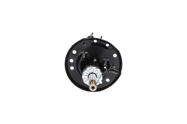 Picture of Shock Absorber - KAVO PARTS - SSA-10003