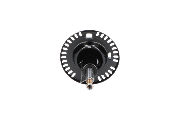 Picture of KAVO PARTS - SSA-10262 - Shock Absorber (Suspension/Damping)