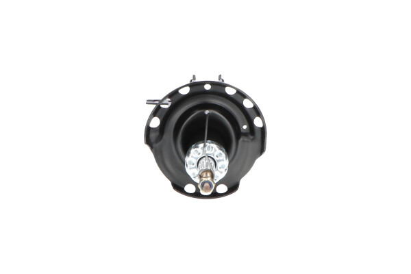 Picture of KAVO PARTS - SSA-10359 - Shock Absorber (Suspension/Damping)