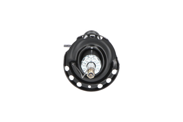 Picture of KAVO PARTS - SSA-10360 - Shock Absorber (Suspension/Damping)